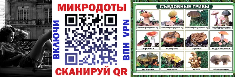 omg ТОР  Нефтекумск  Псилоцибиновые грибы мицелий 
